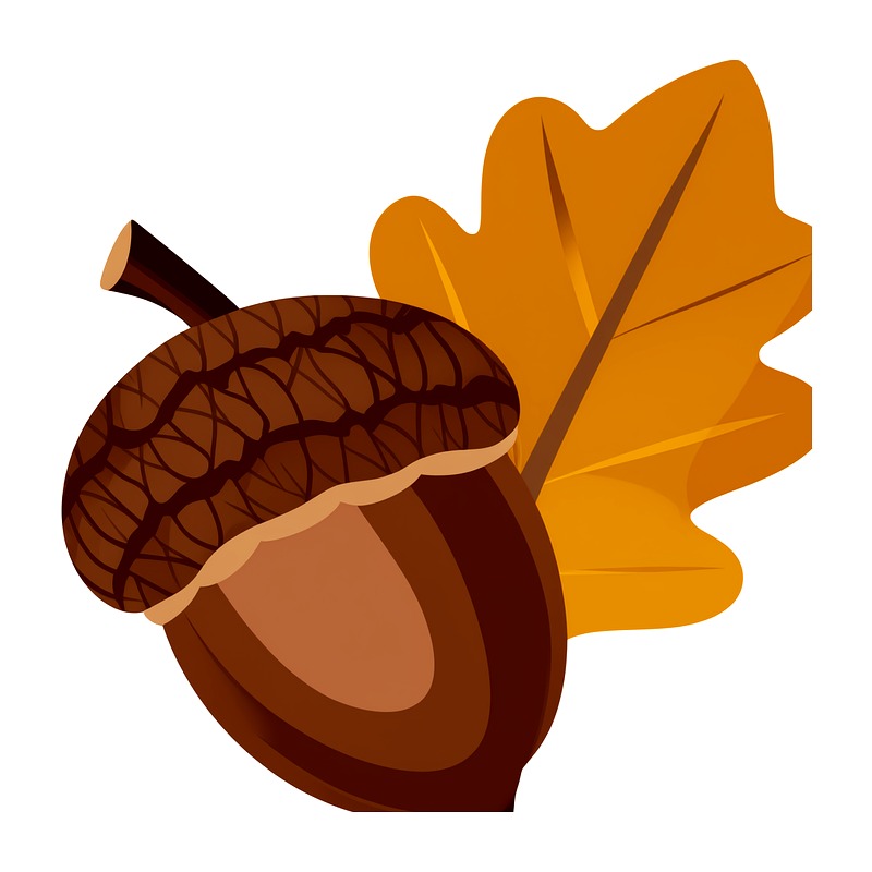 Autumn Maple Leaf Heat Transfe - Iron On Patch review and price