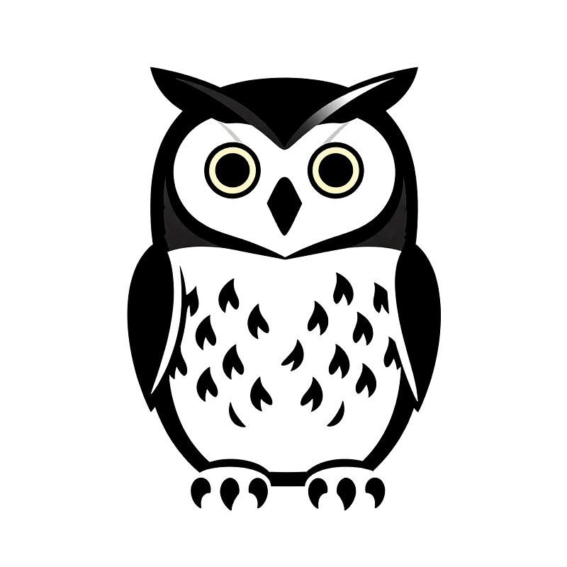Owl Heat Transfer Vinyl HTV Ir - Iron On Patch review and price